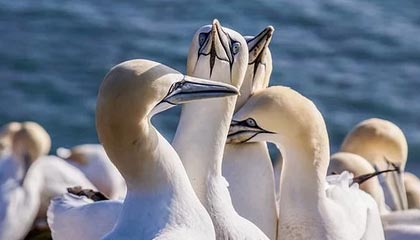 克拉玛依最新的高价医保个人账户余额微信查询方法分享(克拉玛依医保查询个人账户明细怎么查微信教程)